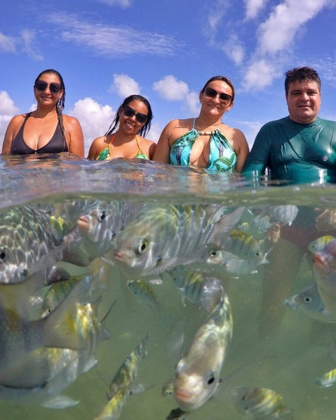 PICÃOZINHO RECEPTIVO JOÃO PESSOA JAMPATUR (33)