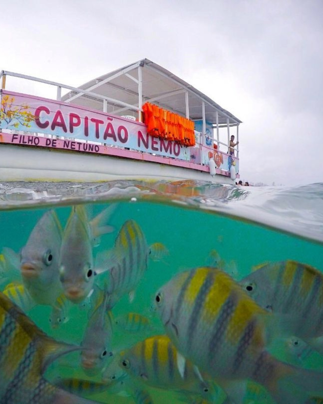 AGENCIA DE TURISMO EM JOAO PESSOA