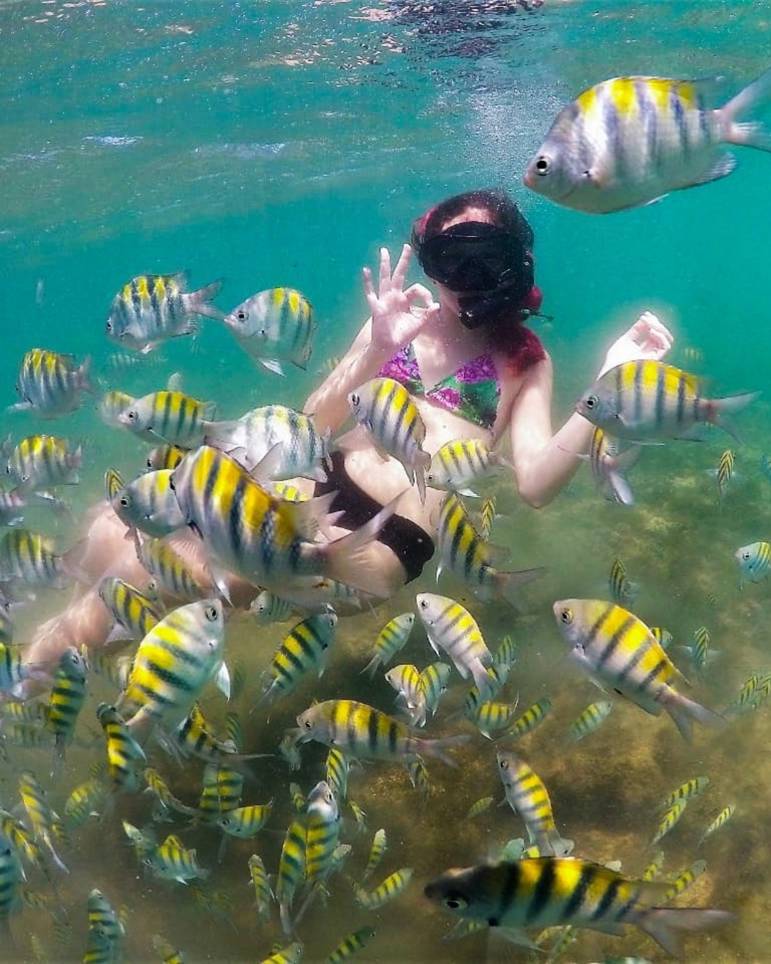 AGENCIA DE TURISMO EM JOAO PESSOA